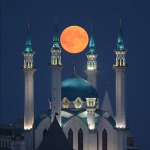 Meet your Posher, Dylan